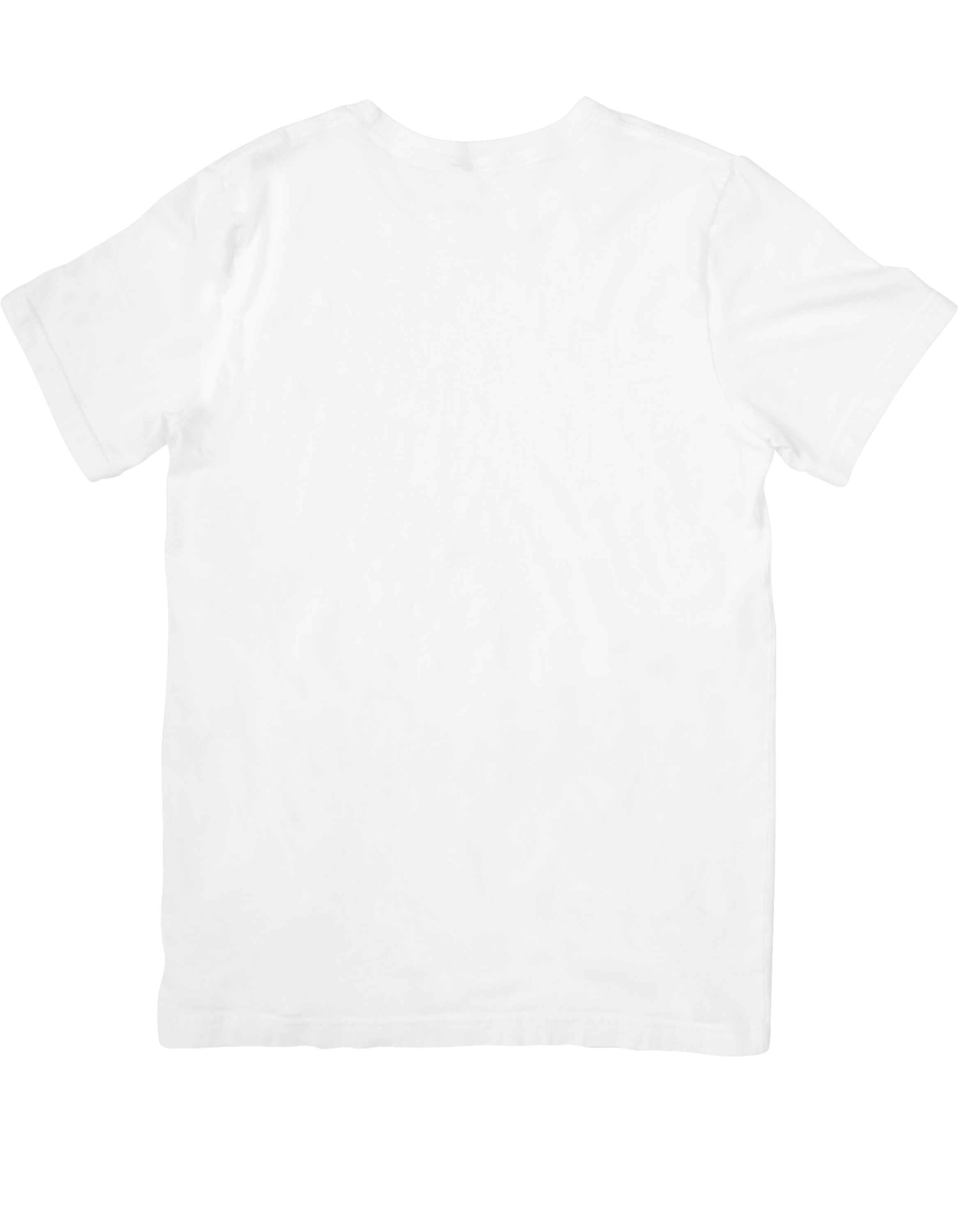 I HATE LIL Z tee back